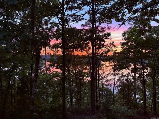 252 Mountain Mist Drive, Dierks, AR 71833