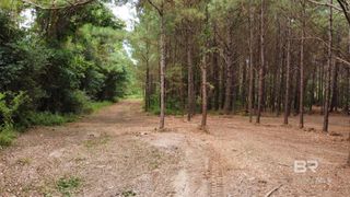 0 James Road, Foley, AL 36535