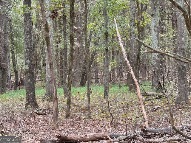 9990 Jefferson River Road, Athens, GA 30607