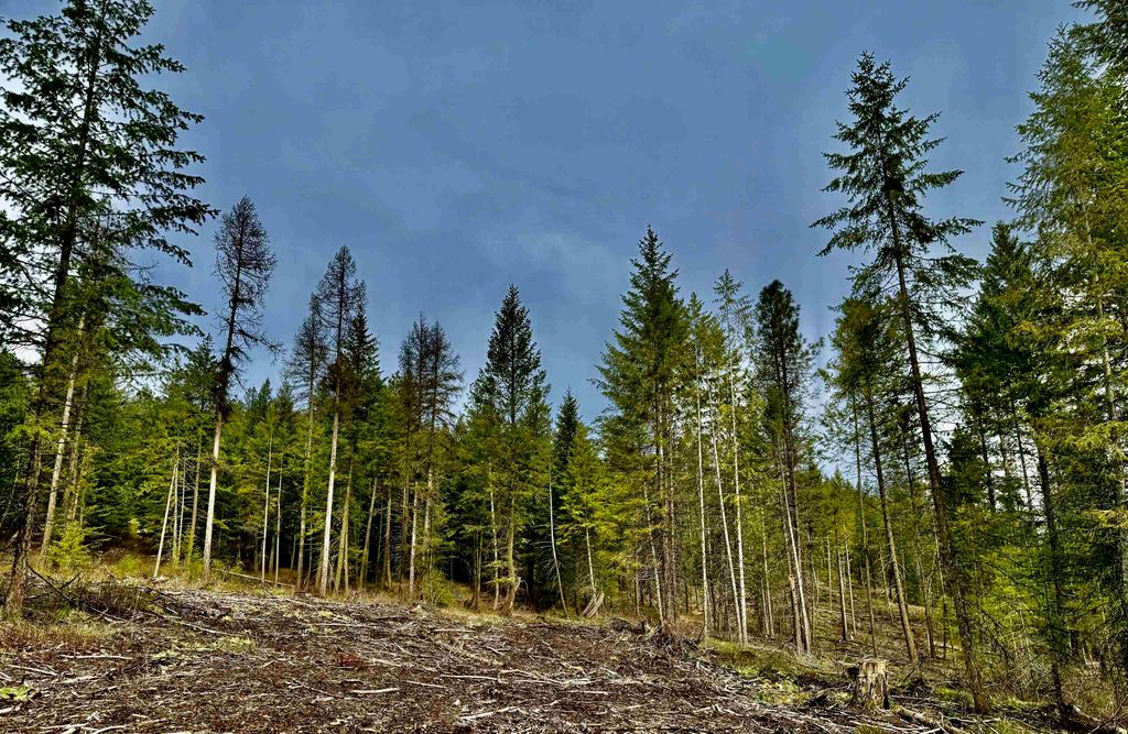 6200 Brisbois Rd, Fruitland, WA 99129