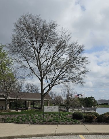 13567 Yellow Pine Drive, Huntley, IL 60142