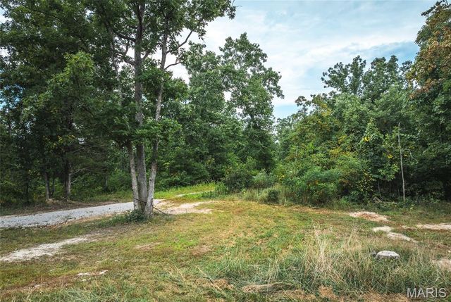 11011 Rivercrest Drive, Potosi, MO 63660