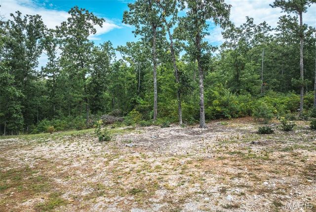 11011 Rivercrest Drive, Potosi, MO 63660