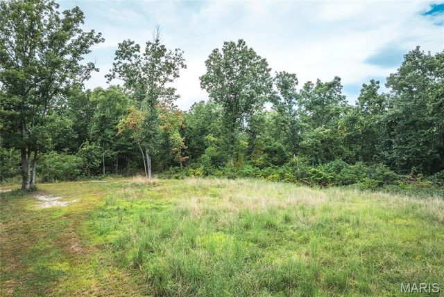 11011 Rivercrest Drive, Potosi, MO 63660