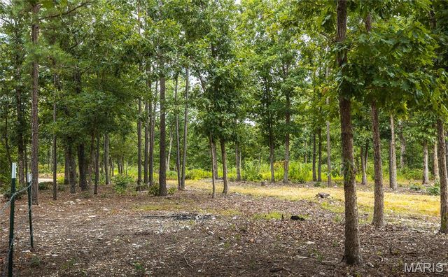 11011 Rivercrest Drive, Potosi, MO 63660