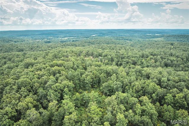 11011 Rivercrest Drive, Potosi, MO 63660