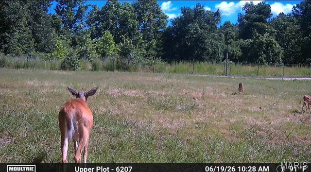 11011 Rivercrest Drive, Potosi, MO 63660