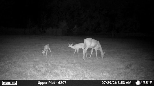 11011 Rivercrest Drive, Potosi, MO 63660