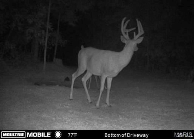 11011 Rivercrest Drive, Potosi, MO 63660