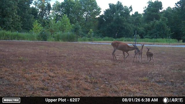 11011 Rivercrest Drive, Potosi, MO 63660