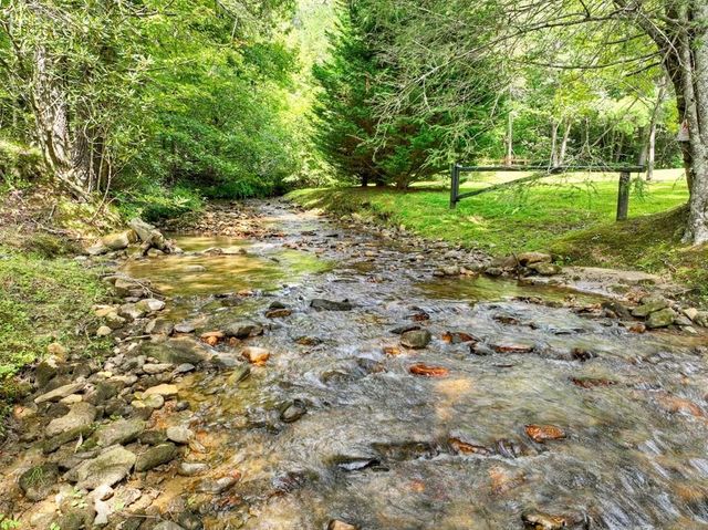 656 Newberry Drive, Ellijay, GA 30536