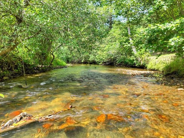 656 Newberry Drive, Ellijay, GA 30536