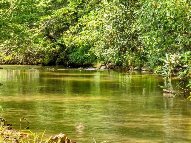 656 Newberry Drive, Ellijay, GA 30536