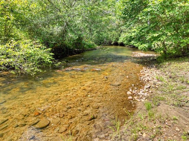 656 Newberry Drive, Ellijay, GA 30536