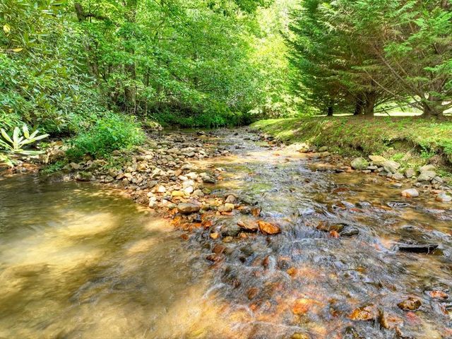 656 Newberry Drive, Ellijay, GA 30536