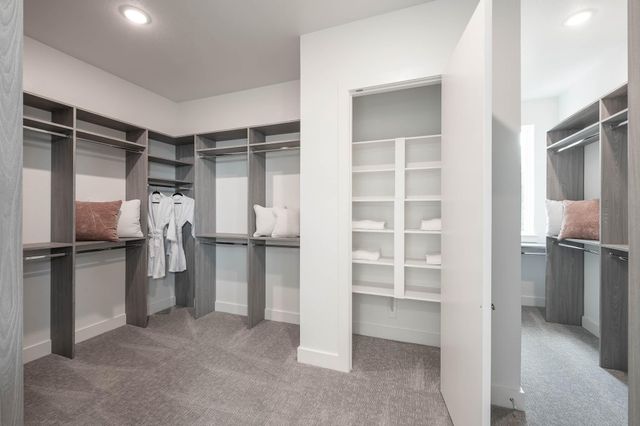 10707 Monarch Butterfly, Cypress, TX 77433