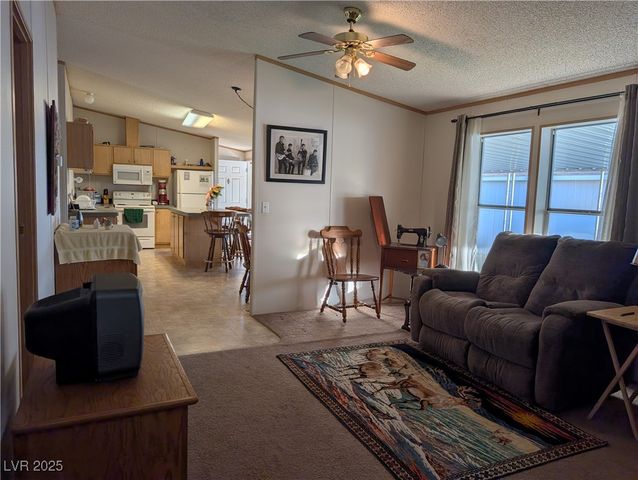 735 Condie Street, Overton, NV 89040