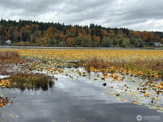 8582 Long Lake Road SE, Port Orchard, WA 98367