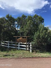 4817 Bison -- 42, Lakeside, AZ 85929