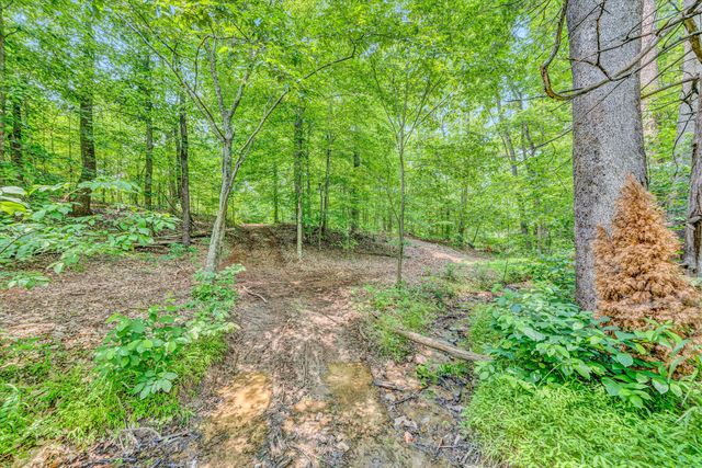 Tract C Clover Creek RD, Huddleston, VA 24104