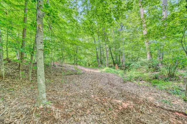 Tract C Clover Creek RD, Huddleston, VA 24104