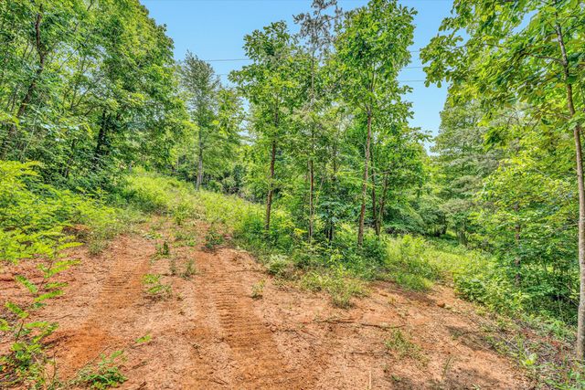 Tract C Clover Creek RD, Huddleston, VA 24104
