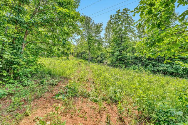 Tract C Clover Creek RD, Huddleston, VA 24104