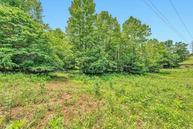 Tract C Clover Creek RD, Huddleston, VA 24104