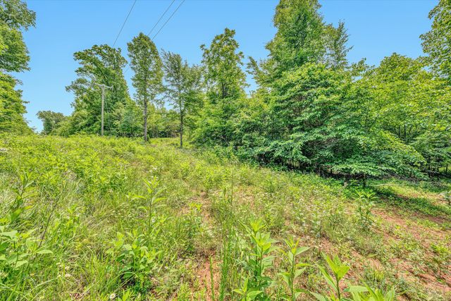 Tract C Clover Creek RD, Huddleston, VA 24104