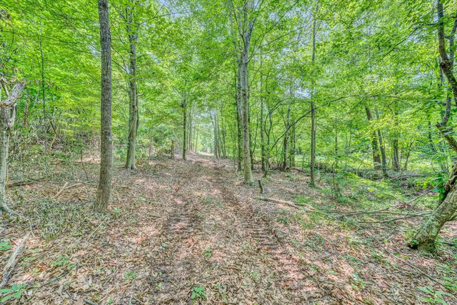 Tract C Clover Creek RD, Huddleston, VA 24104