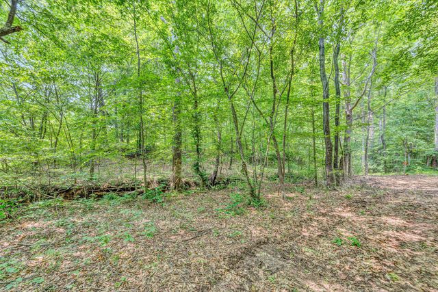 Tract C Clover Creek RD, Huddleston, VA 24104