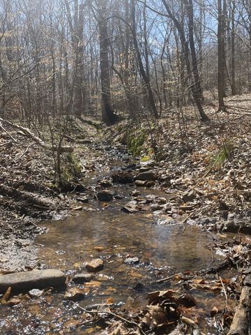 Tract C Clover Creek RD, Huddleston, VA 24104
