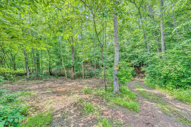 Tract C Clover Creek RD, Huddleston, VA 24104