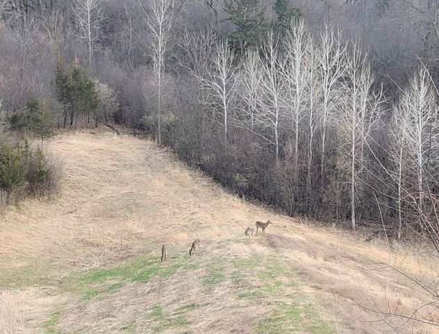 3927 Stone Point Drive NE, Rochester, MN 55906