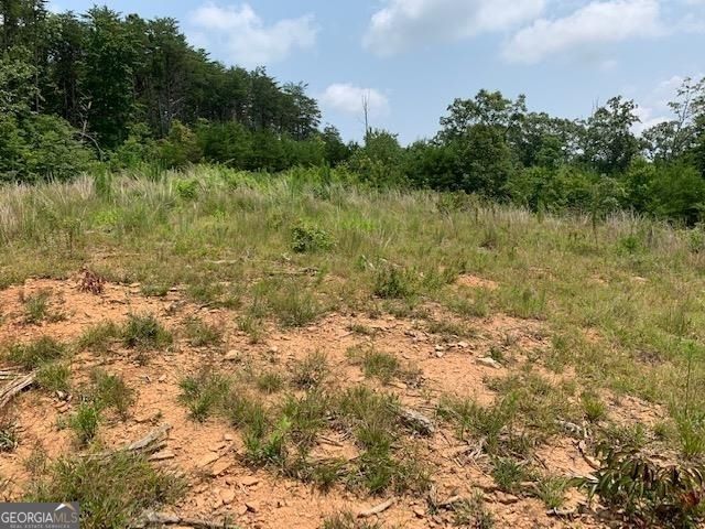 1354 Pine Ridge Road, Clarkesville, GA 30523