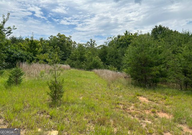 1354 Pine Ridge Road, Clarkesville, GA 30523