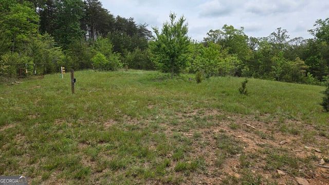 1354 Pine Ridge Road, Clarkesville, GA 30523
