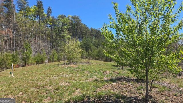 1354 Pine Ridge Road, Clarkesville, GA 30523