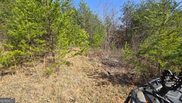 1354 Pine Ridge Road, Clarkesville, GA 30523