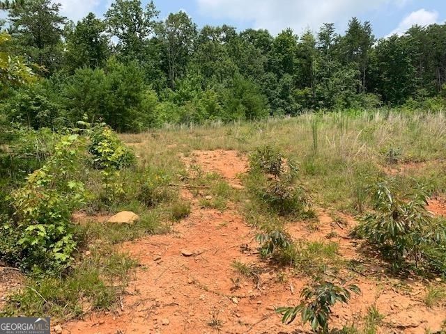 1354 Pine Ridge Road, Clarkesville, GA 30523