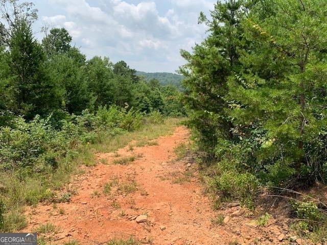 1354 Pine Ridge Road, Clarkesville, GA 30523