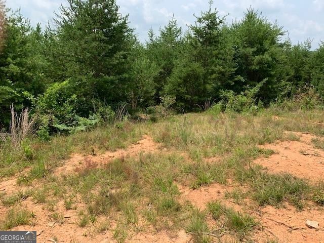1354 Pine Ridge Road, Clarkesville, GA 30523