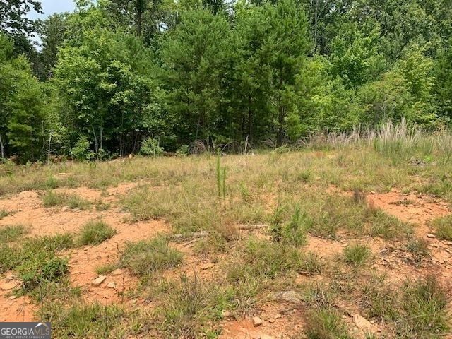 1354 Pine Ridge Road, Clarkesville, GA 30523