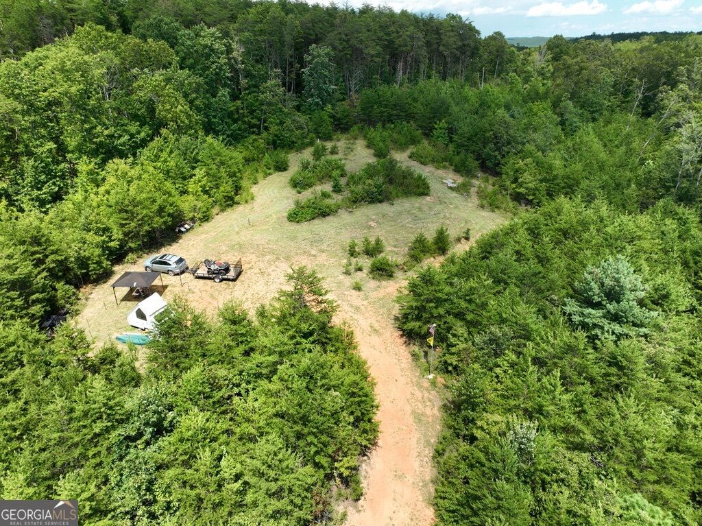 1354 Pine Ridge Road, Clarkesville, GA 30523 — photo 3