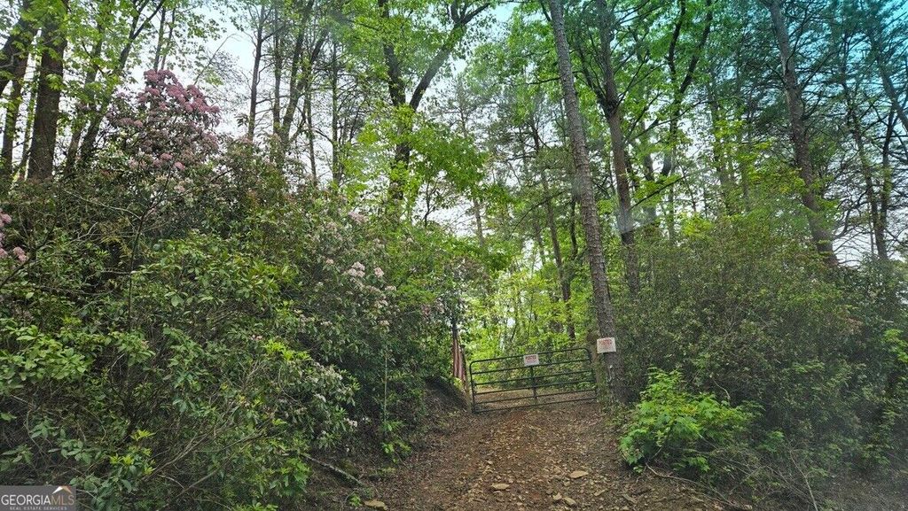 1354 Pine Ridge Road, Clarkesville, GA 30523 — photo 4