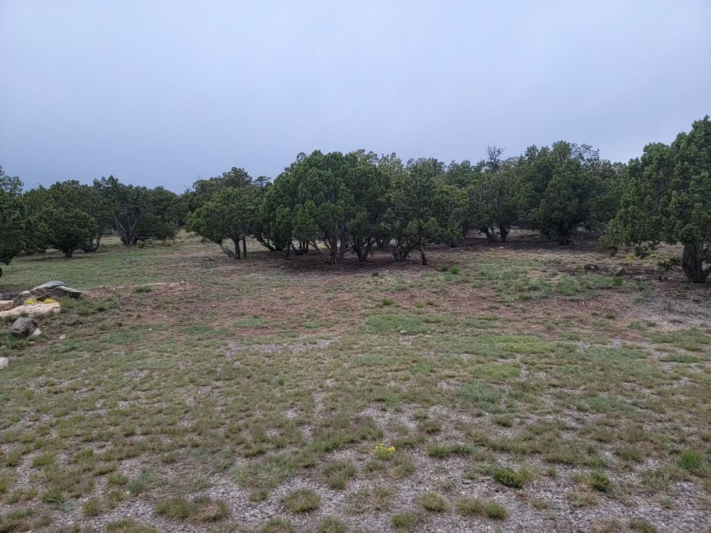 100 High Vista Court, Edgewood, NM 87015