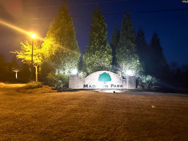 149 Madison Park Drive, Lexington, SC 29072