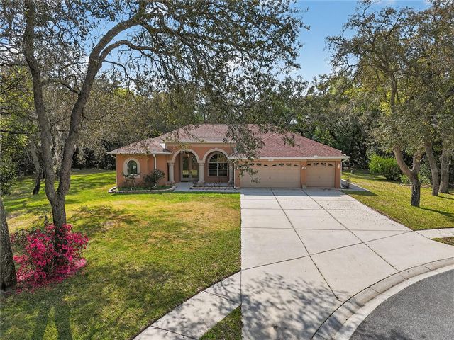 14024 WARM SPRINGS COURT, Hudson, FL 34667