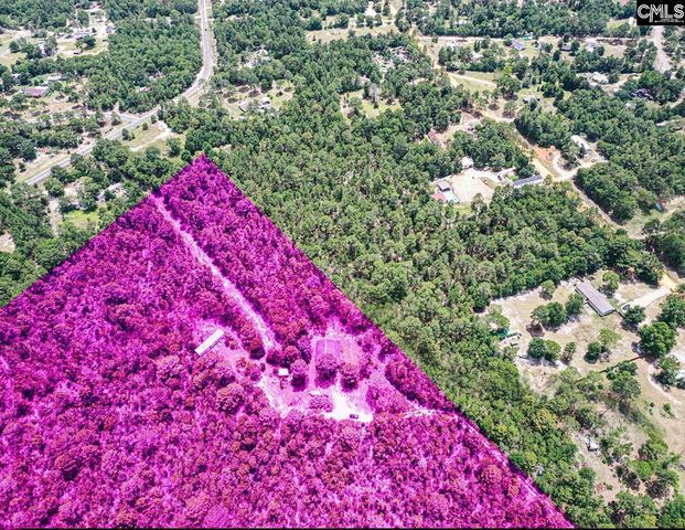 755 Bush Berry Road, Pelion, SC 29123