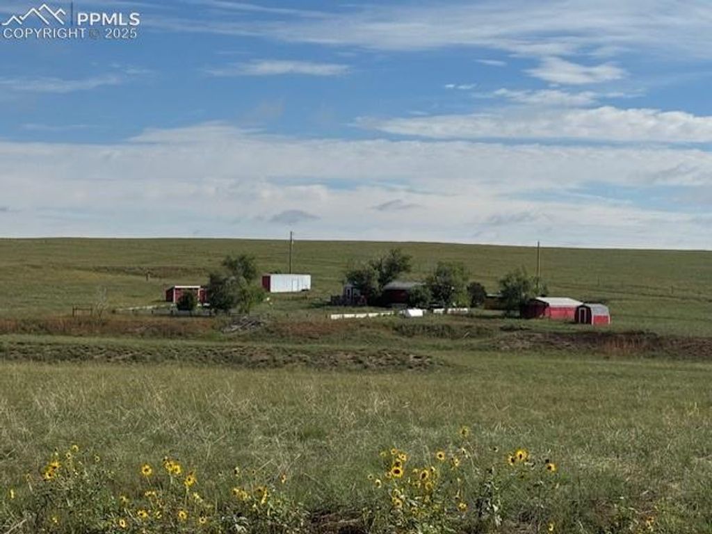 7961 County Road 2A, Rush, CO 80833 — photo 2